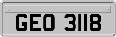 GEO3118