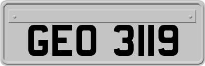 GEO3119