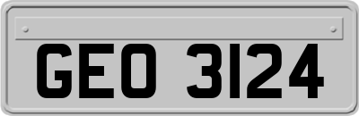 GEO3124