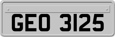 GEO3125
