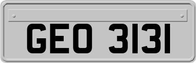 GEO3131
