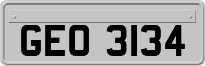 GEO3134