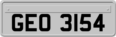 GEO3154