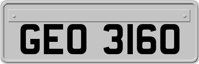 GEO3160