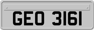 GEO3161