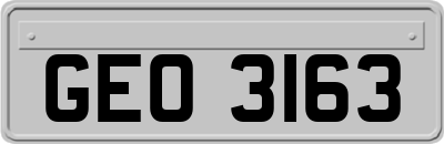 GEO3163