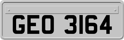 GEO3164