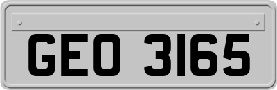 GEO3165