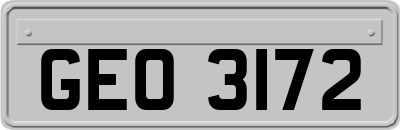GEO3172