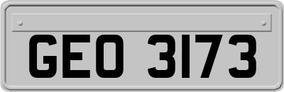 GEO3173