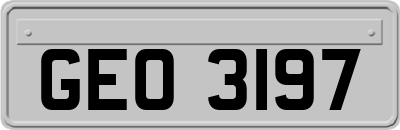 GEO3197