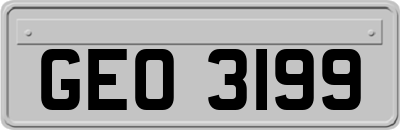GEO3199