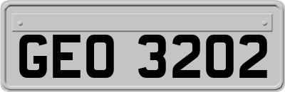 GEO3202