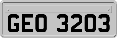 GEO3203