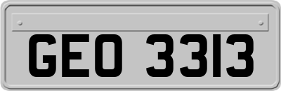 GEO3313
