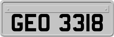 GEO3318