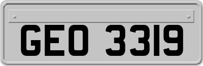 GEO3319