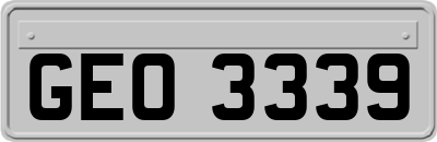 GEO3339