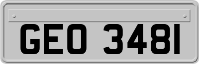 GEO3481