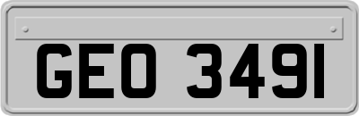 GEO3491