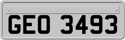GEO3493