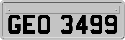 GEO3499