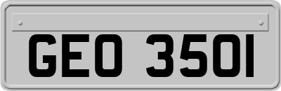 GEO3501