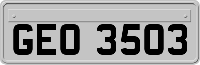 GEO3503