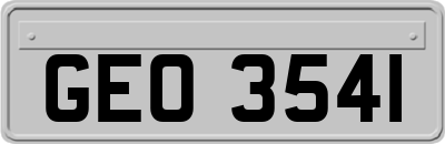 GEO3541