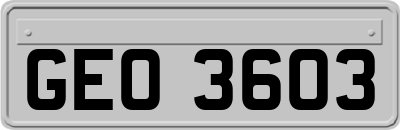GEO3603