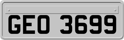 GEO3699