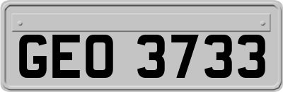 GEO3733