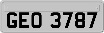 GEO3787