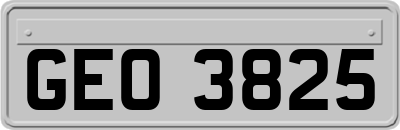 GEO3825