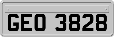 GEO3828