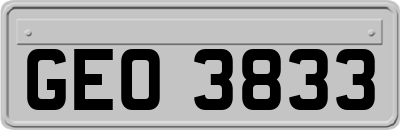 GEO3833