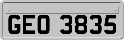 GEO3835