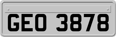 GEO3878