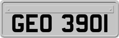 GEO3901