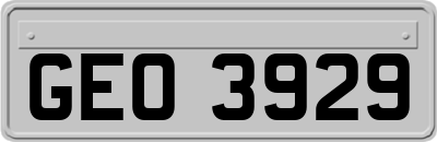 GEO3929