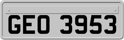 GEO3953
