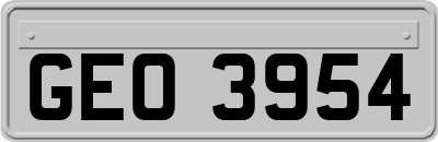 GEO3954