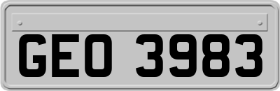 GEO3983