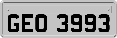 GEO3993