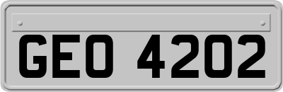 GEO4202