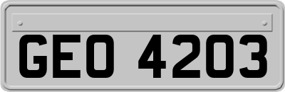 GEO4203