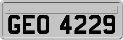 GEO4229