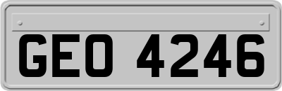 GEO4246