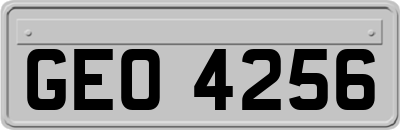 GEO4256