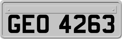 GEO4263